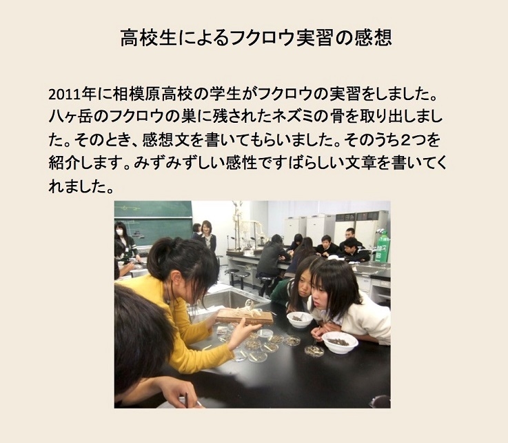 https://life-museum.azabu-u.ac.jp/exhibition/blog-img/kikaku4_introduction_5.jpg
