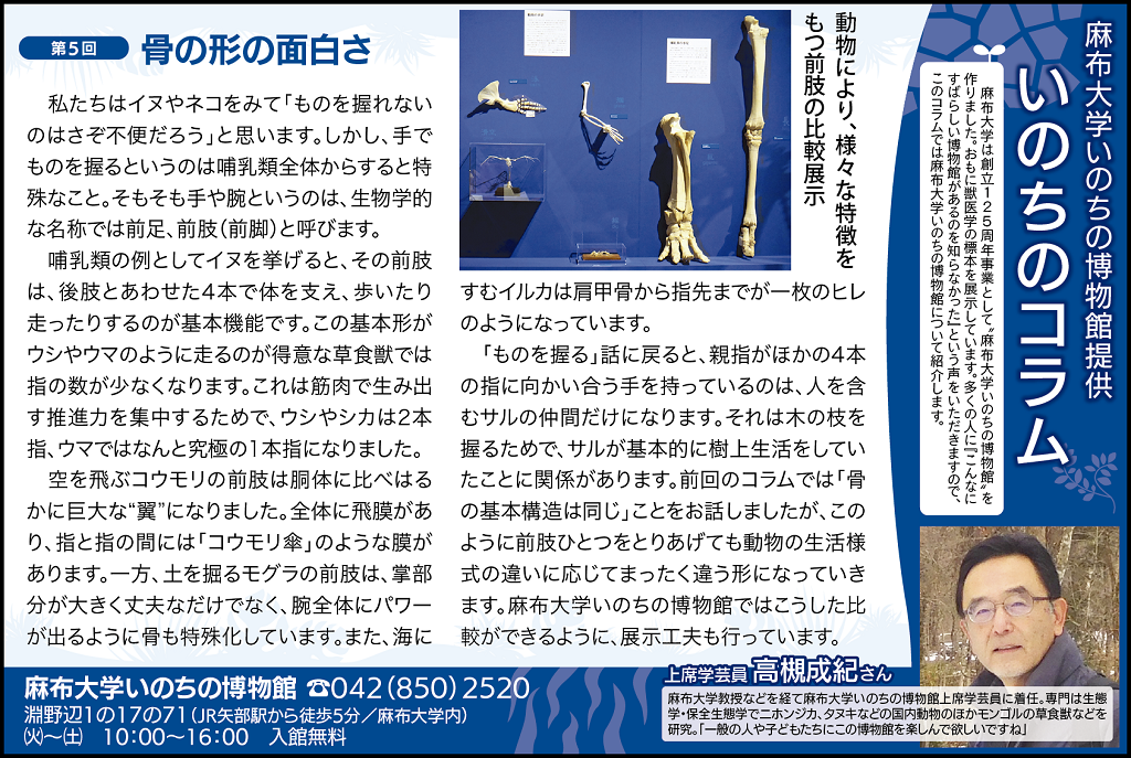 https://life-museum.azabu-u.ac.jp/news/blog-img/171116_TownNewsColum5.png