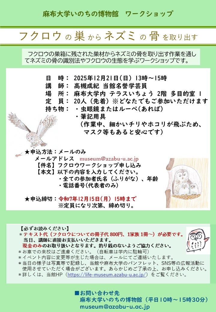 フクロウワークショップ2025