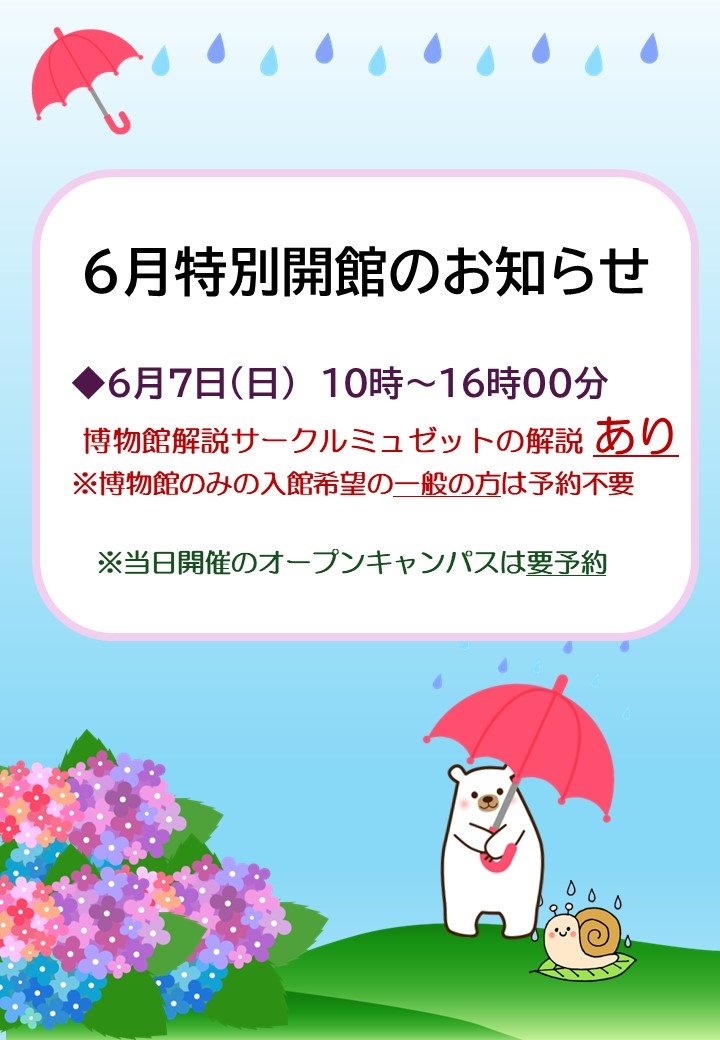 6月特別開館のお知らせ.jpg