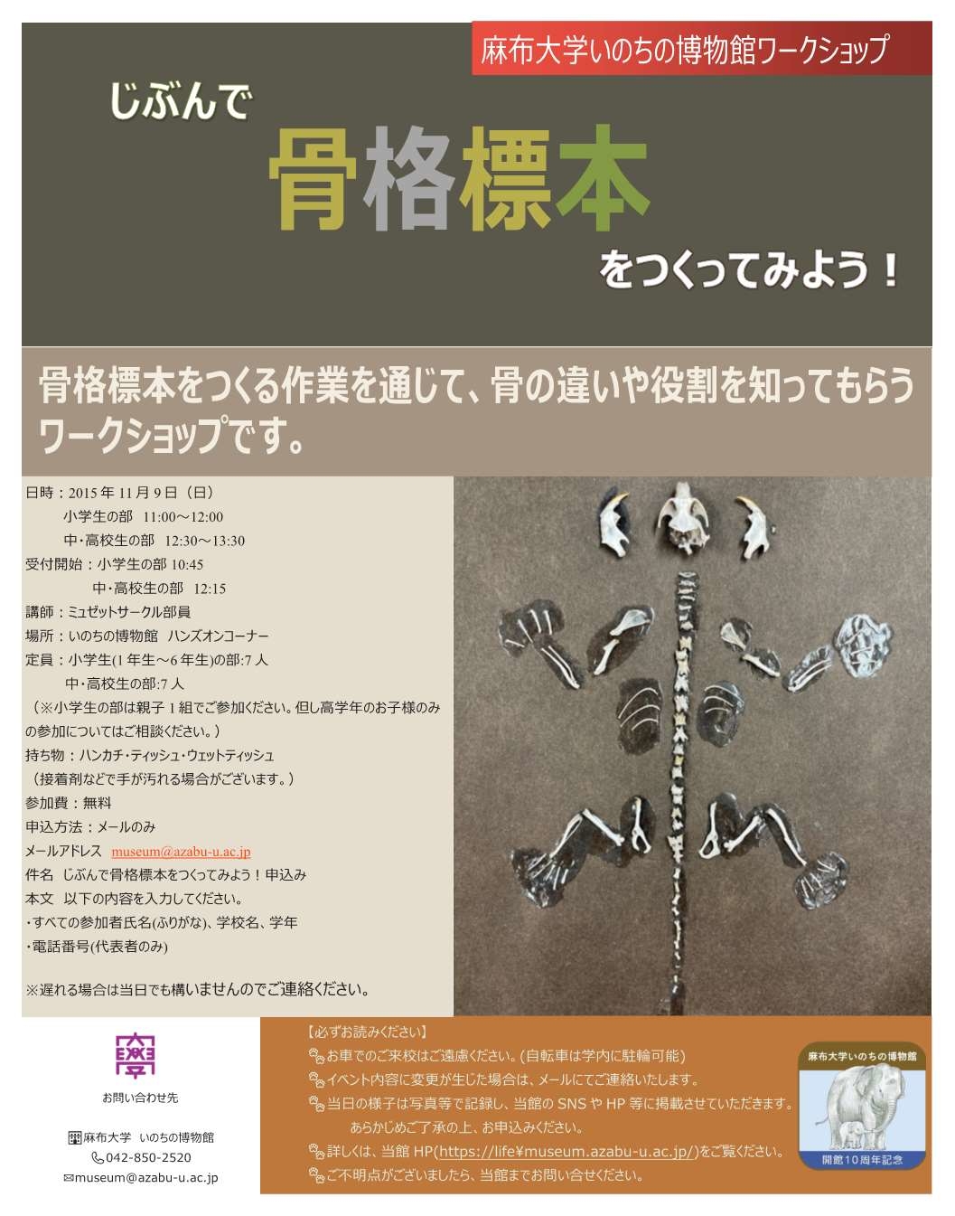 10周年企画ポスター.jpg