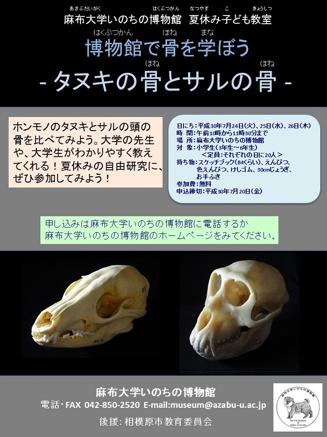 https://life-museum.azabu-u.ac.jp/news/files/201807kodomo2.jpg