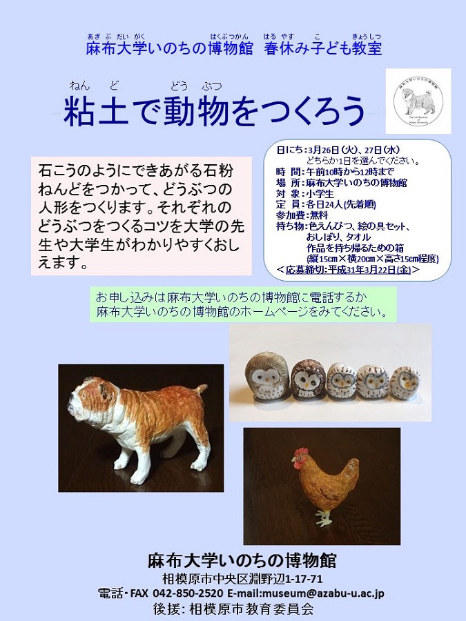 https://life-museum.azabu-u.ac.jp/news/files/201903kodomo900_2.jpg