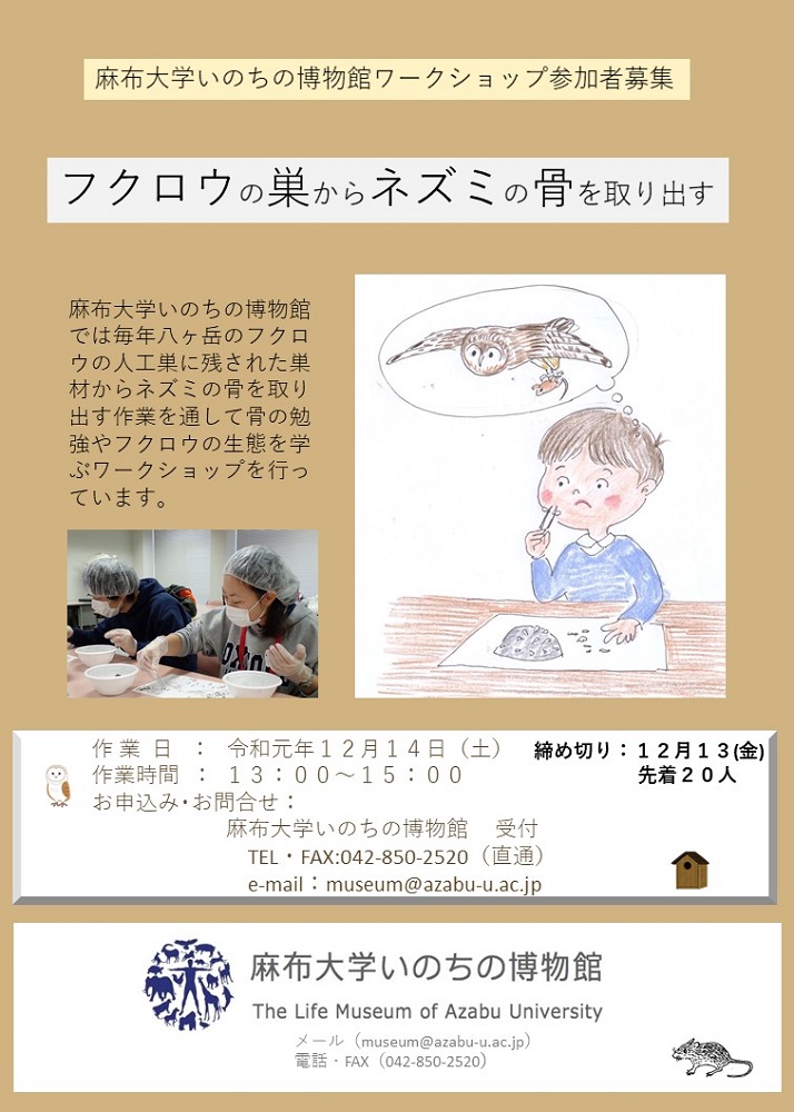 https://life-museum.azabu-u.ac.jp/news/files/64eeae72f5c71123ff17ee7e3b8b6237.jpg