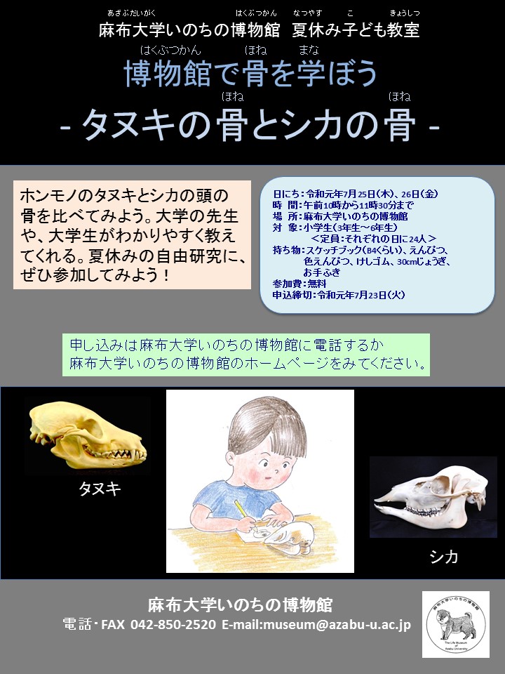 https://life-museum.azabu-u.ac.jp/news/files/c4881267f60d8ed0aae22b790a86a2f5.jpg