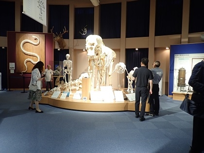 中国より研究者の皆様がいのちの博物館にご来館