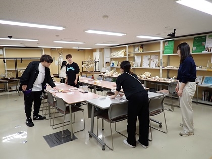 いのちの博物館10周年記念学生企画「じぶんで骨格標本をつくってみよう」