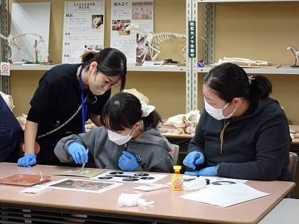 いのちの博物館10周年記念学生企画「じぶんで骨格標本をつくってみよう」