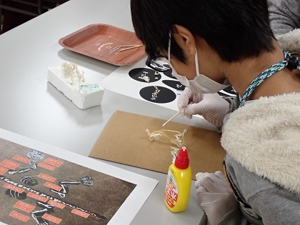 いのちの博物館10周年記念学生企画「じぶんで骨格標本をつくってみよう」