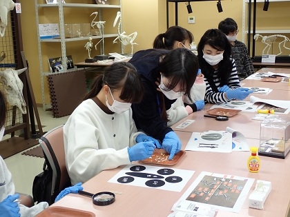 いのちの博物館10周年記念学生企画「じぶんで骨格標本をつくってみよう」