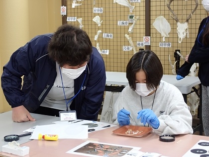 いのちの博物館10周年記念学生企画「じぶんで骨格標本をつくってみよう」