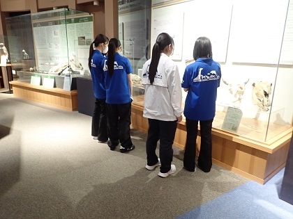 いのちの博物館に中央動物総合専門学校が来館