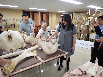中国より研究者の皆様がいのちの博物館にご来館