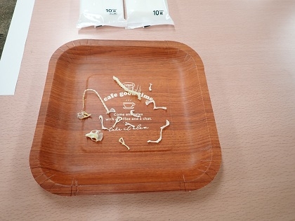 いのちの博物館10周年記念学生企画「じぶんで骨格標本をつくってみよう」