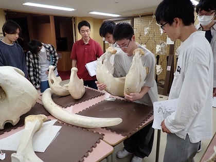 環境野生動物学の授業がいのちの博物館で行われました