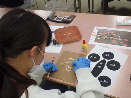 いのちの博物館10周年記念学生企画「じぶんで骨格標本をつくってみよう」