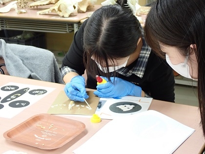 いのちの博物館10周年記念学生企画「じぶんで骨格標本をつくってみよう」