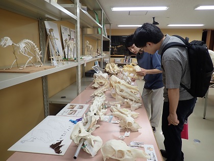 いのちの博物館に高校教員が来館