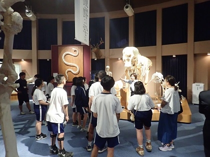 いのちの博物館に田名中学校が来館