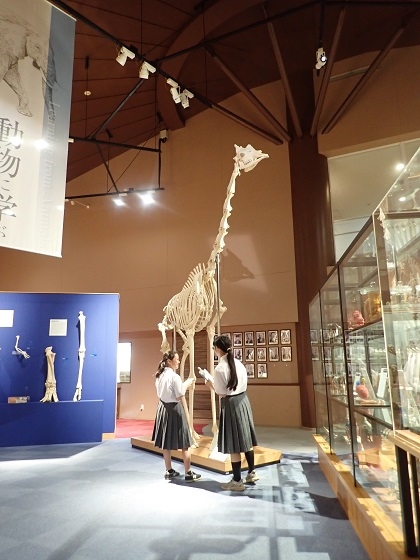 いのちの博物館に矢口中学校が来館