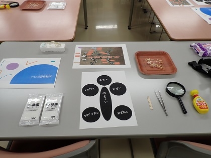 いのちの博物館10周年記念学生企画「じぶんで骨格標本をつくってみよう」