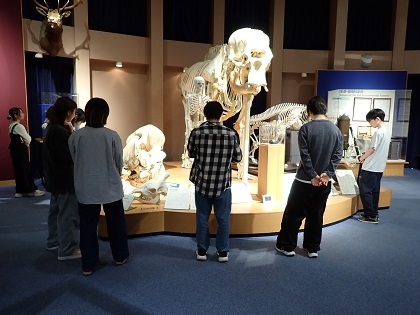 環境野生動物学の授業がいのちの博物館で行われました