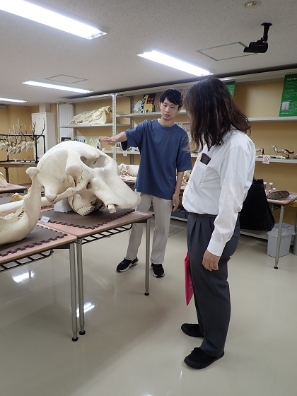 いのちの博物館に高校教員が来館