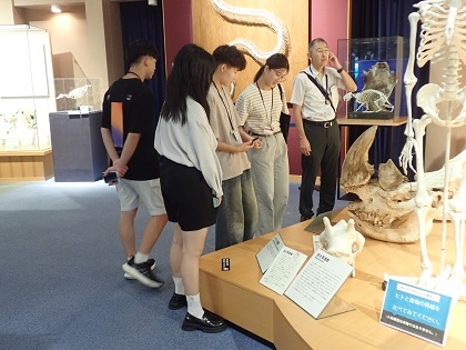 いのちの博物館に中興大学と屏東科技大學の学生が来館