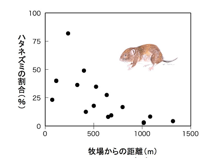 高槻先生ワークショップ「フクロウの巣からネズミの骨を取り出す」