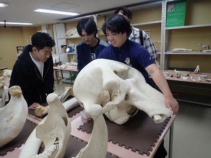 いのちの博物館で環境野生動物学（環境科学科２年次）」の授業