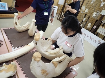 いのちの博物館に田名中学校が来館