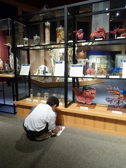 いのちの博物館に矢口中学校が来館