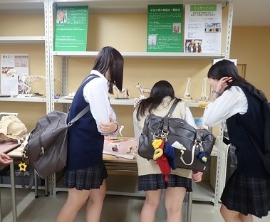 都立小川高校の生徒さんがいのちの博物館を見学
