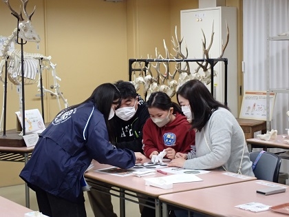 いのちの博物館10周年記念学生企画「じぶんで骨格標本をつくってみよう」