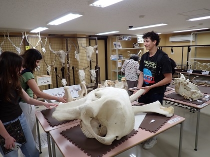 オハイオ州立大学学生がご見学されました、本物の骨に触ることができるハンズオンコーナー