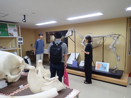 いのちの博物館に高校教員が来館