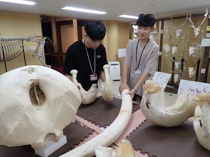いのちの博物館に中興大学と屏東科技大學の学生が来館