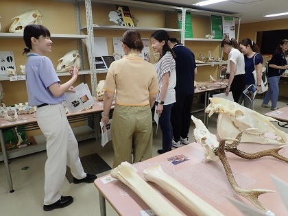 大野北小学校職員が研修でいのちの博物館に来館