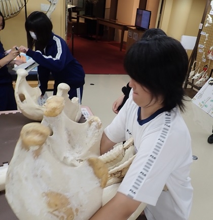いのちの博物館に田名中学校が来館