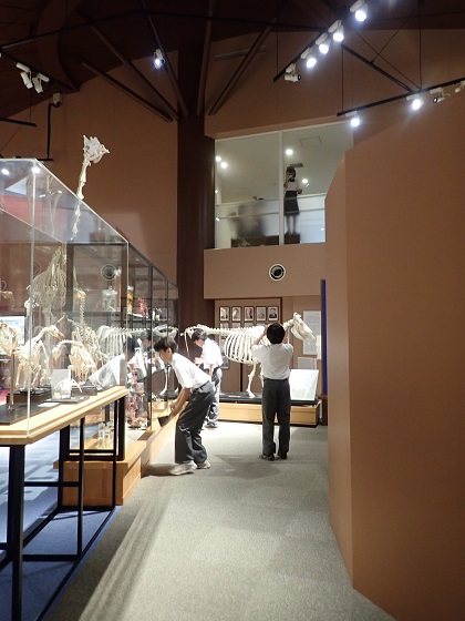 いのちの博物館に矢口中学校が来館