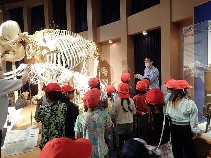 いのちの博物館で根小屋小学校SDGsスタディツアー