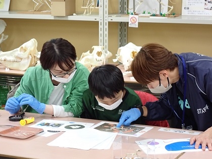 いのちの博物館10周年記念学生企画「じぶんで骨格標本をつくってみよう」