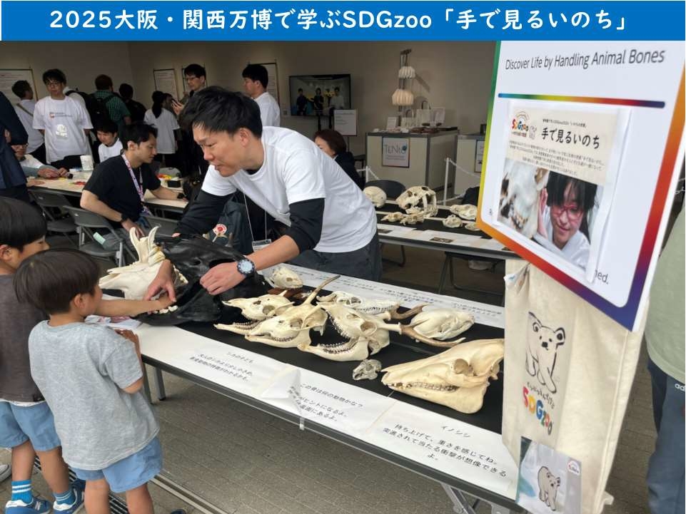 大阪関西万博SDGzoo「手で見るいのち」レポート