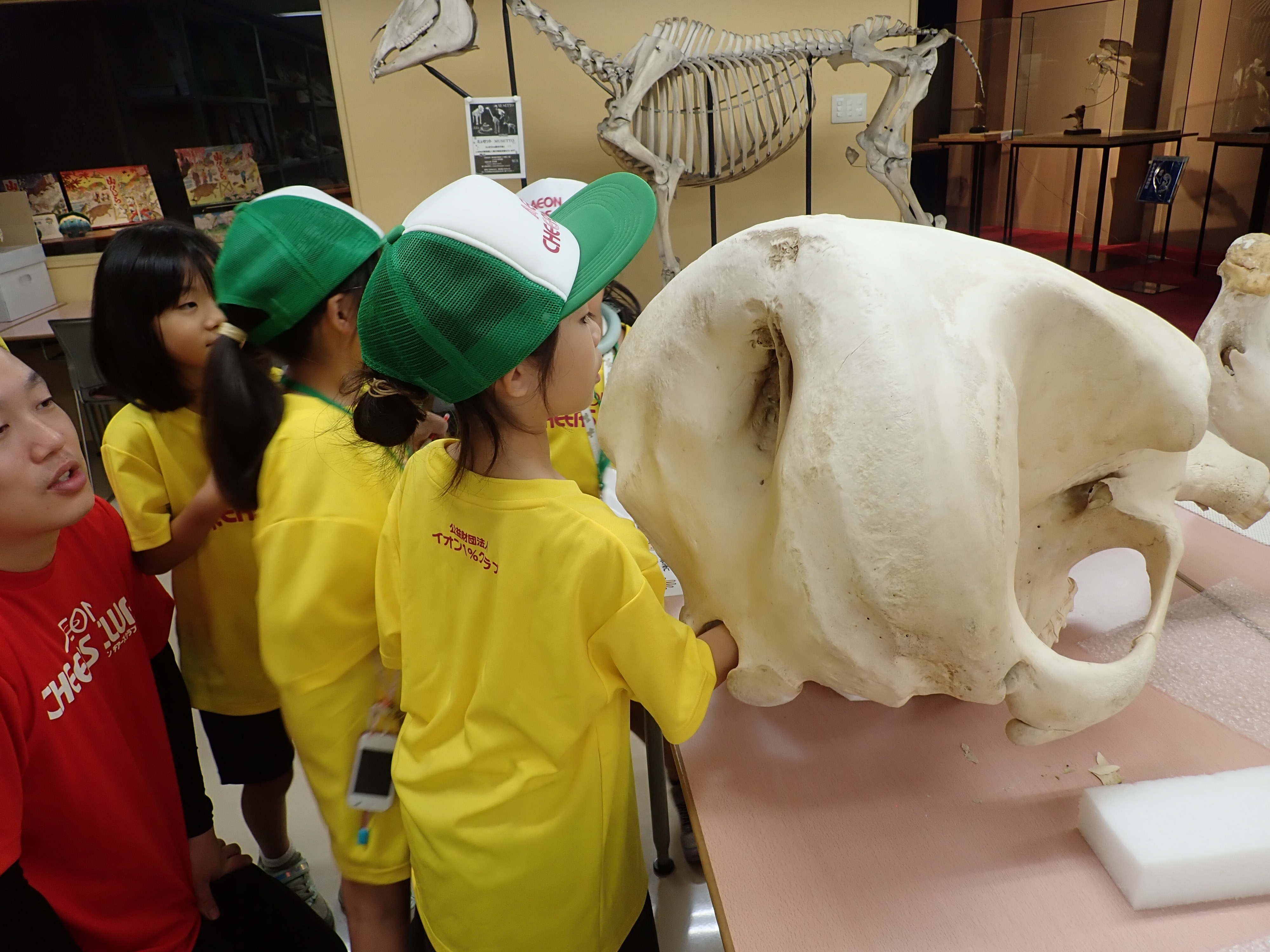 イオン橋本店チアーズクラブの皆様がいのちの博物館に来館