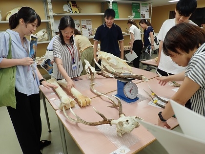 大野北小学校職員が研修でいのちの博物館に来館