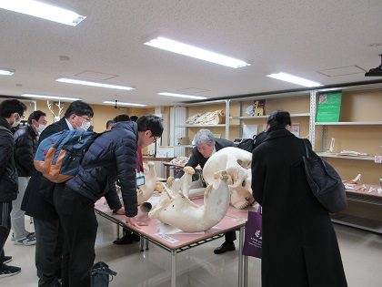 理科教員がいのちの博物館を見学