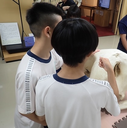 いのちの博物館に田名中学校が来館