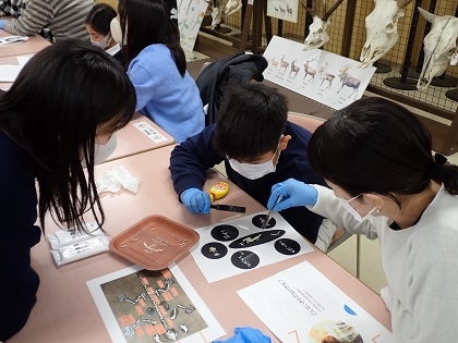 いのちの博物館10周年記念学生企画「じぶんで骨格標本をつくってみよう」
