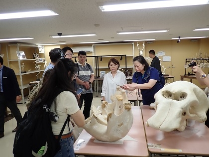 台湾の獣医師が麻布大学いのちの博物館に来館