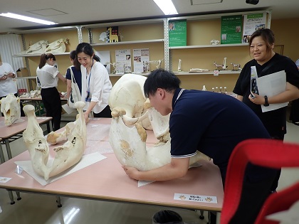 大野北小学校職員が研修でいのちの博物館に来館